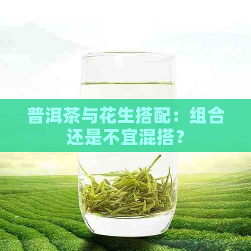 普洱茶与花生搭配：组合还是不宜混搭？