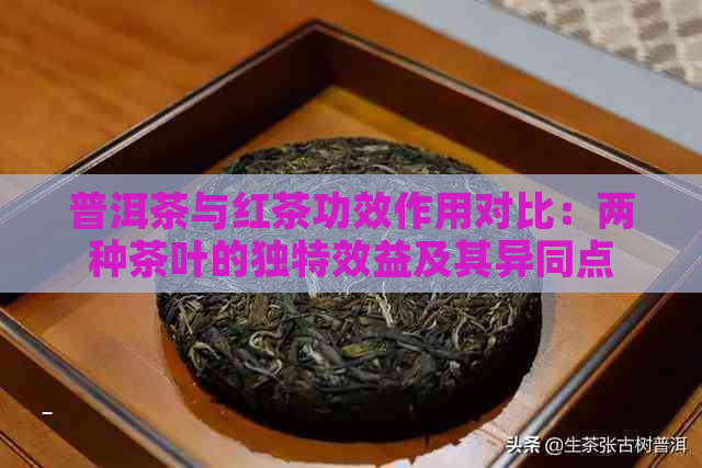 普洱茶与红茶功效作用对比：两种茶叶的独特效益及其异同点