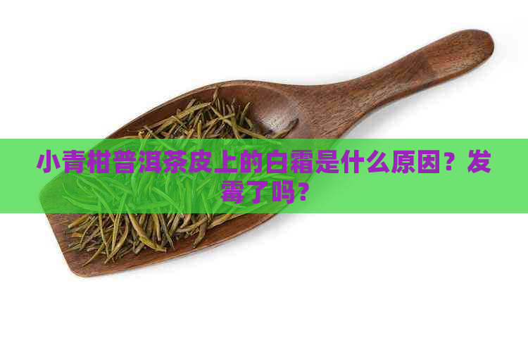 小青柑普洱茶皮上的白霜是什么原因？发霉了吗？