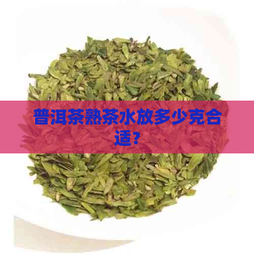 普洱茶熟茶水放多少克合适？