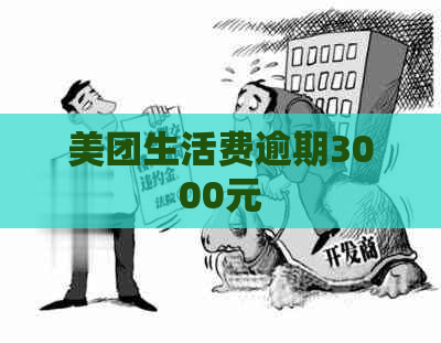 美团生活费逾期3000元