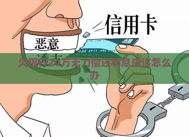 欠银行20万无力偿还利息应该怎么办