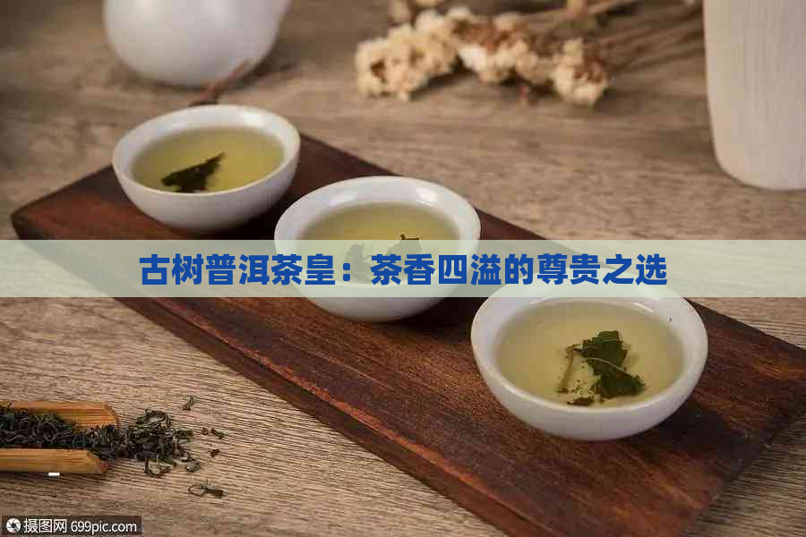 古树普洱茶皇：茶香四溢的尊贵之选