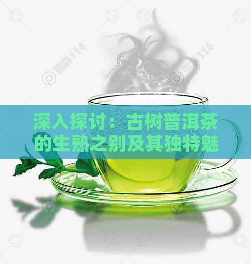 深入探讨：古树普洱茶的生熟之别及其独特魅力