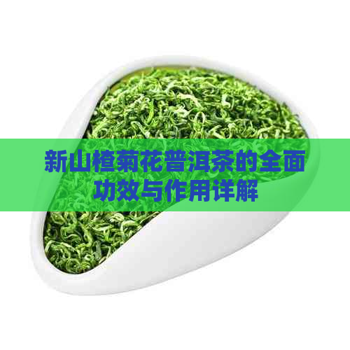 新山楂菊花普洱茶的全面功效与作用详解