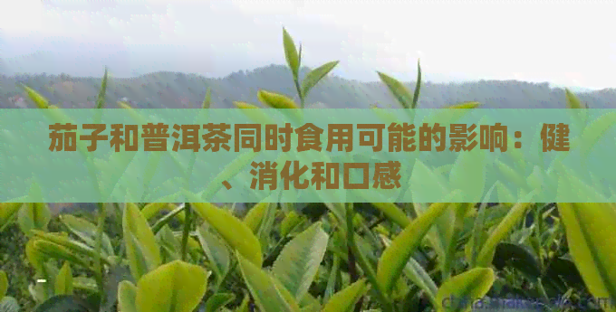 茄子和普洱茶同时食用可能的影响：健、消化和口感