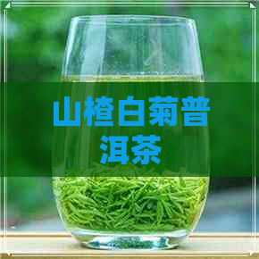 山楂白菊普洱茶