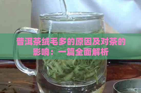 普洱茶绒毛多的原因及对茶的影响：一篇全面解析