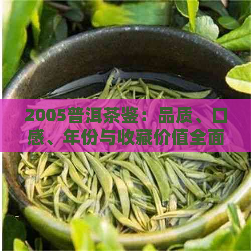 2005普洱茶鉴：品质、口感、年份与收藏价值全面解析