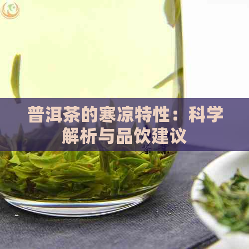 普洱茶的寒凉特性：科学解析与品饮建议