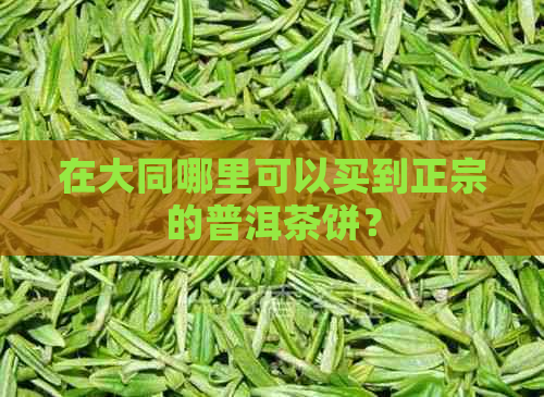 在大同哪里可以买到正宗的普洱茶饼？