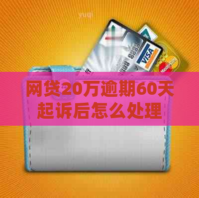 网贷20万逾期60天起诉后怎么处理