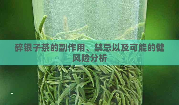 碎银子茶的副作用、禁忌以及可能的健风险分析