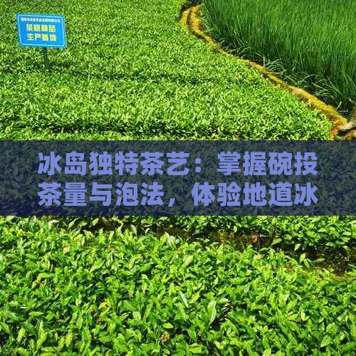 冰岛独特茶艺：掌握碗投茶量与泡法，体验地道冰岛茶文化