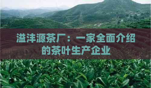 溢沣源茶厂：一家全面介绍的茶叶生产企业