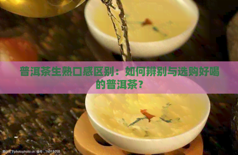 普洱茶生熟口感区别：如何辨别与选购好喝的普洱茶？