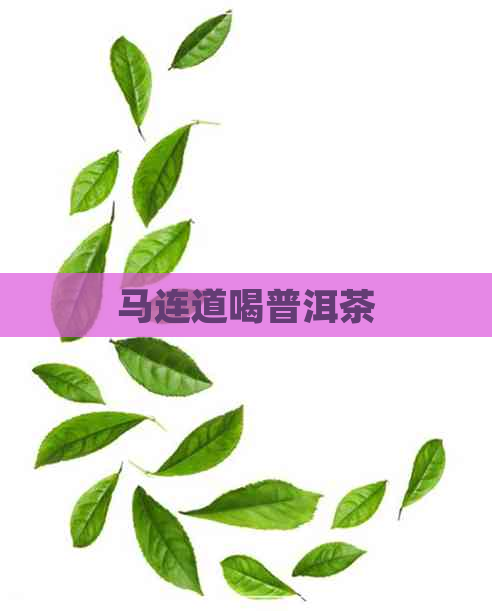 马连道喝普洱茶