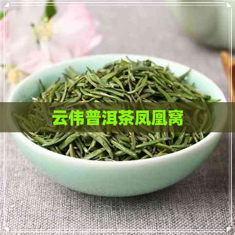 云伟普洱茶凤凰窝