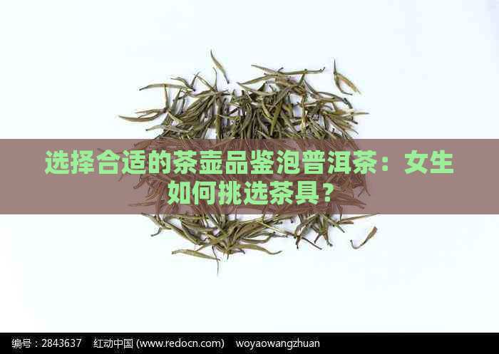 选择合适的茶壶品鉴泡普洱茶：女生如何挑选茶具？