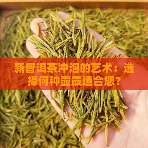 新普洱茶冲泡的艺术：选择何种壶最适合您？