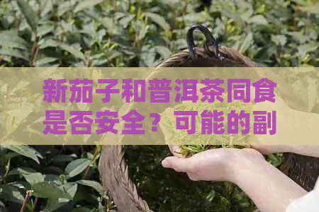 新茄子和普洱茶同食是否安全？可能的副作用及健影响解答