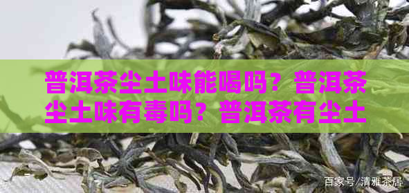 普洱茶尘土味能喝吗？普洱茶尘土味有吗？普洱茶有尘土味，普洱茶泥土味。