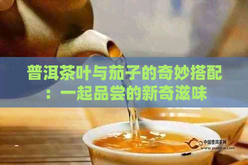 普洱茶叶与茄子的奇妙搭配：一起品尝的新奇滋味