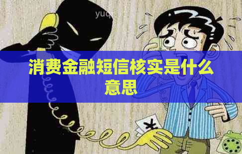 消费金融短信核实是什么意思