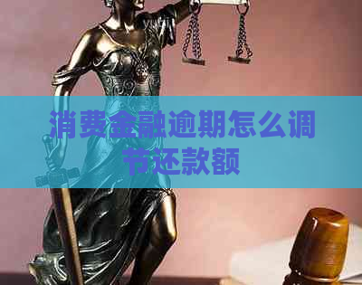 消费金融逾期怎么调节还款额