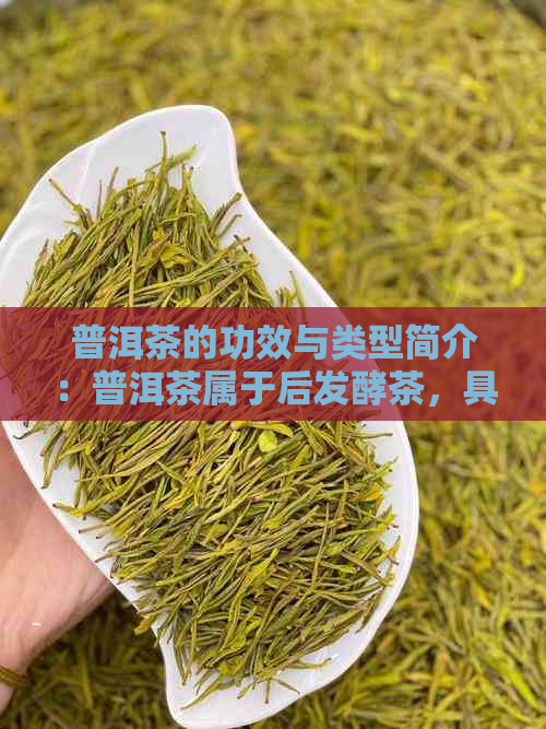 普洱茶的功效与类型简介：普洱茶属于后发酵茶，具有降脂、助消化等功效。