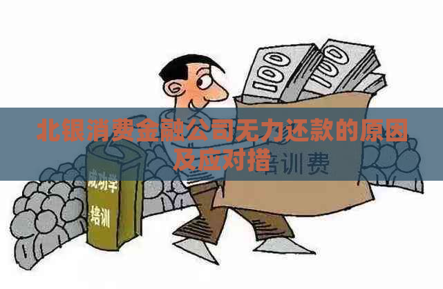 北银消费金融公司无力还款的原因及应对措