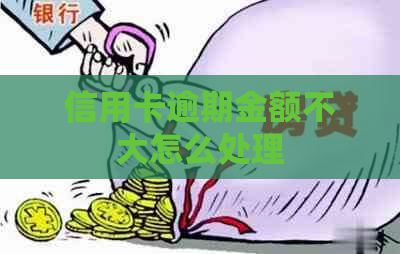 信用卡逾期金额不大怎么处理