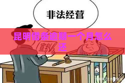 昆明借条逾期一个月怎么还