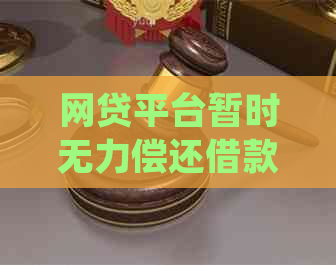 网贷平台暂时无力偿还借款怎么处理