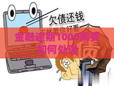 金融逾期1000需要如何处理