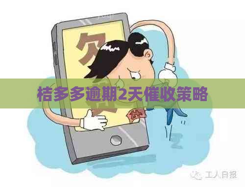 桔多多逾期2天策略