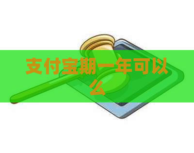 支付宝期一年可以么