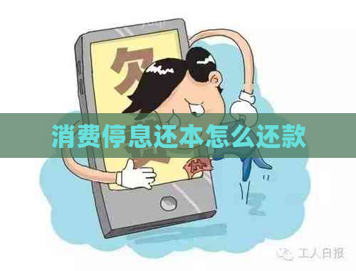 消费停息还本怎么还款