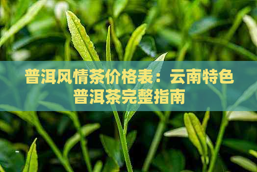 普洱风情茶价格表：云南特色普洱茶完整指南