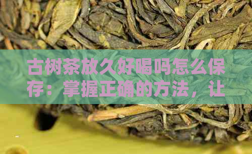 古树茶放久好喝吗怎么保存：掌握正确的方法，让古树茶更美味！