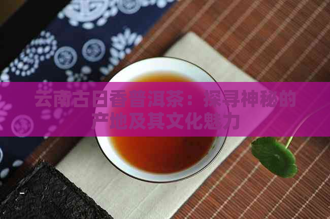 云南古日香普洱茶：探寻神秘的产地及其文化魅力