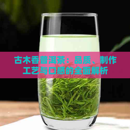 古木香普洱茶：品质、制作工艺与口感的全面解析