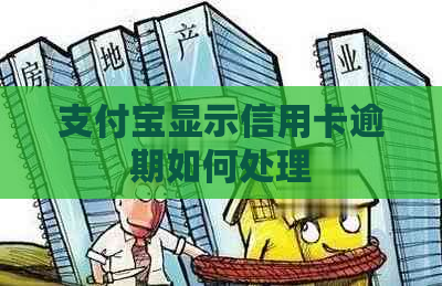 支付宝显示信用卡逾期如何处理