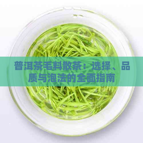 普洱茶毛料散茶：选择、品质与泡法的全面指南