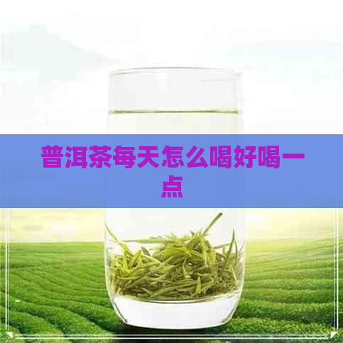 普洱茶每天怎么喝好喝一点