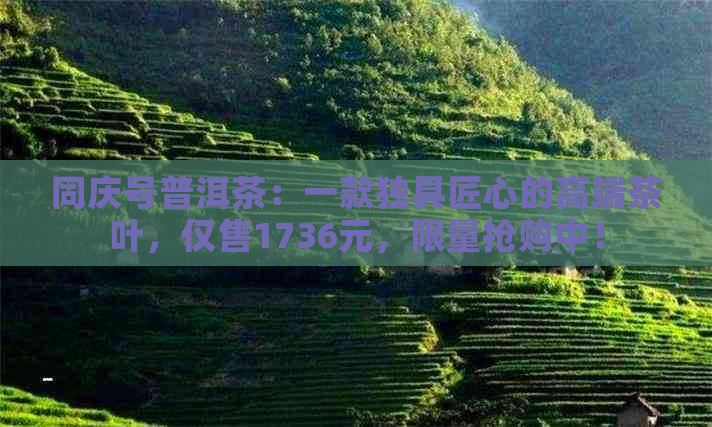 同庆号普洱茶：一款独具匠心的高端茶叶，仅售1736元，限量抢购中！