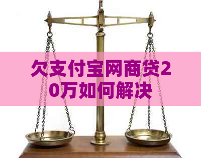 欠支付宝网商贷20万如何解决