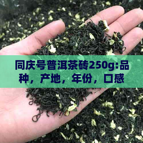 同庆号普洱茶砖250g:品种，产地，年份，口感，泡法，收藏价值全方位解析