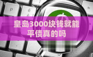 皇岛3000块钱就能平债真的吗