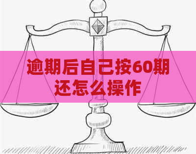 逾期后自己按60期还怎么操作